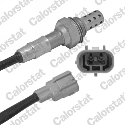Oxygen Sensor